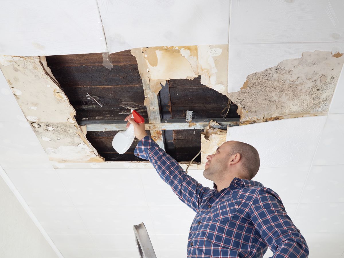 Water Damage,